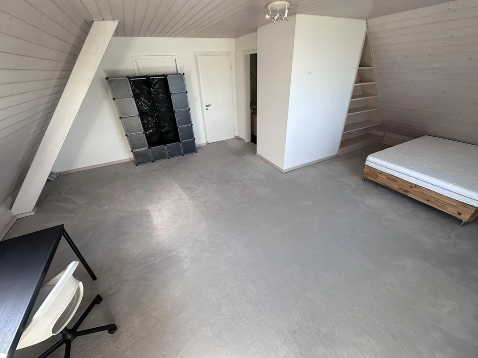 Marvelous lake view! Furnished single rooms in a shared Villa in Horgen ZH! – Foto 5 von 16