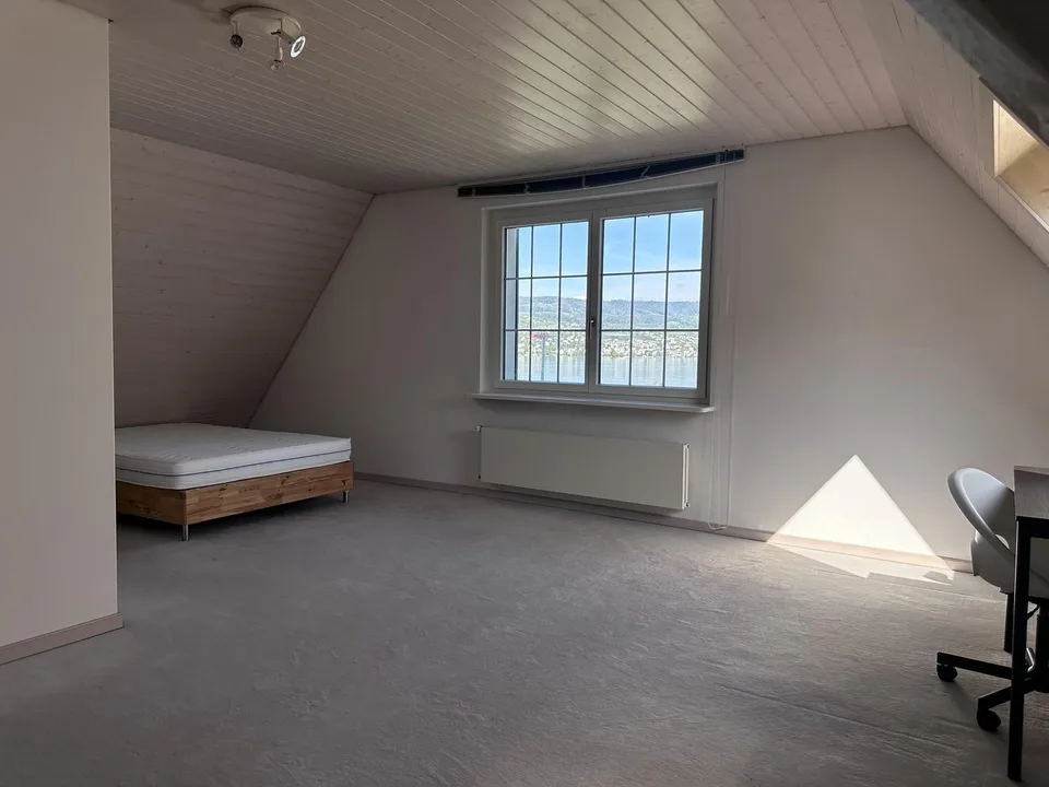 Marvelous lake view! Furnished single rooms in a shared Villa in Horgen ZH! – Foto 7 von 16