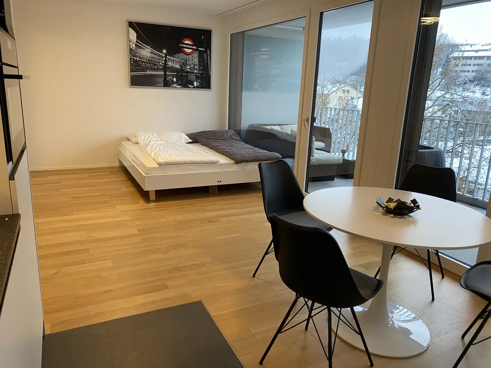 Appartamento luminoso 1.5 locali – foto 2 di 8