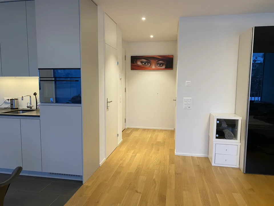 Appartamento luminoso 1.5 locali – foto 3 di 8