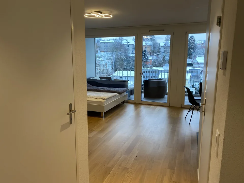 Appartamento luminoso 1.5 locali – foto 6 di 8