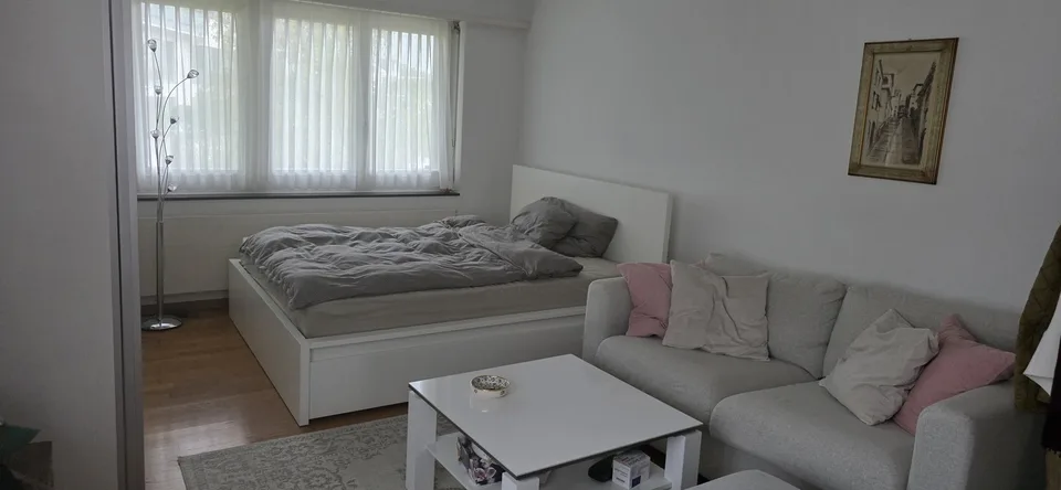 Möblierte Wohnung in Meilen zu vermieten – in Seenähe und steuergünstig wohnen! – Foto 3 von 6
