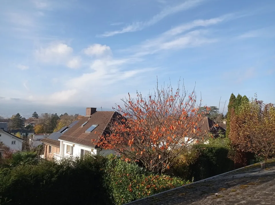 Sonniges WG-Zimmer ab August zu mieten – Foto 10 von 12