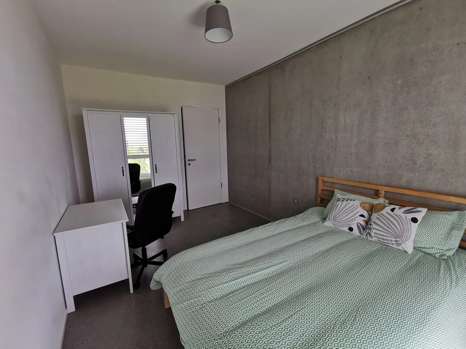 Belle chambre en colocation dans un appartement lumineux et tout équipé – foto 4 di 9