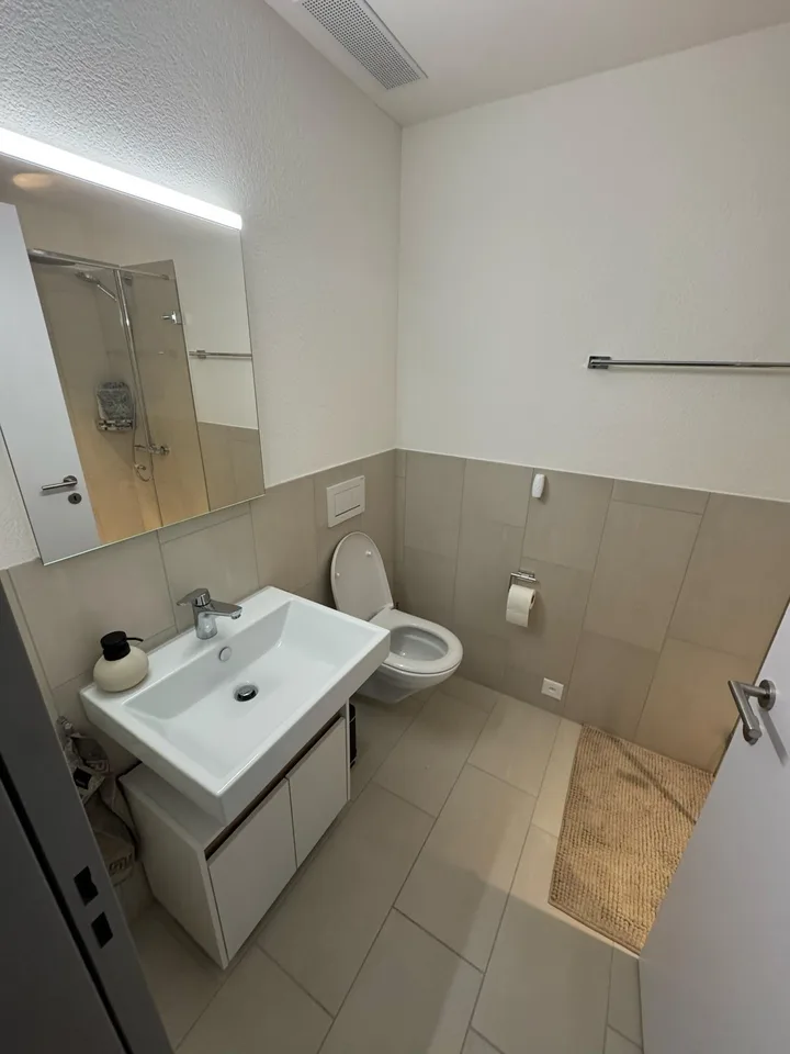 Modern möblierte Wohnung sucht Untermieter (für 3 Monate) – Foto 10 von 16