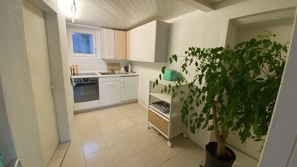 Lakefront apartment in Kehrsiten – photo 9 sur 17