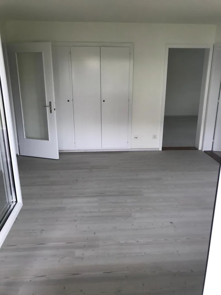 4 bedroom apartment with lawn area – photo 6 of 11