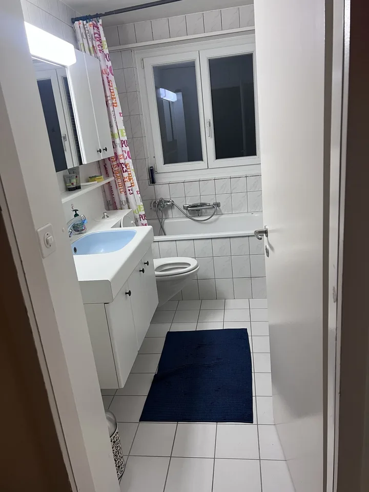 Bölchenstrasse 4. 3 Stock, 4127 birsfelden - CHF 700 exkl. NK pro Monat – Foto 3 von 4