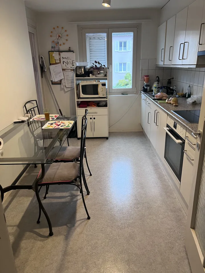 Bölchenstrasse 4. 3 Stock, 4127 birsfelden - CHF 700 exkl. NK pro Monat – Foto 4 von 4