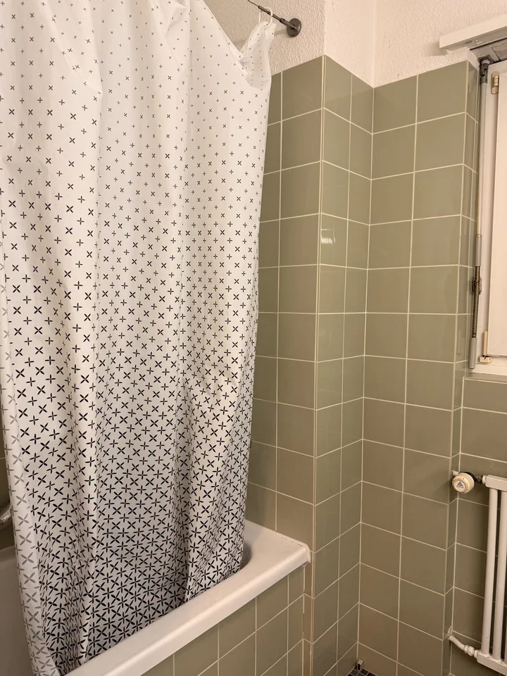 Private Room in Shared Apartment in Thalwil – foto 10 di 12