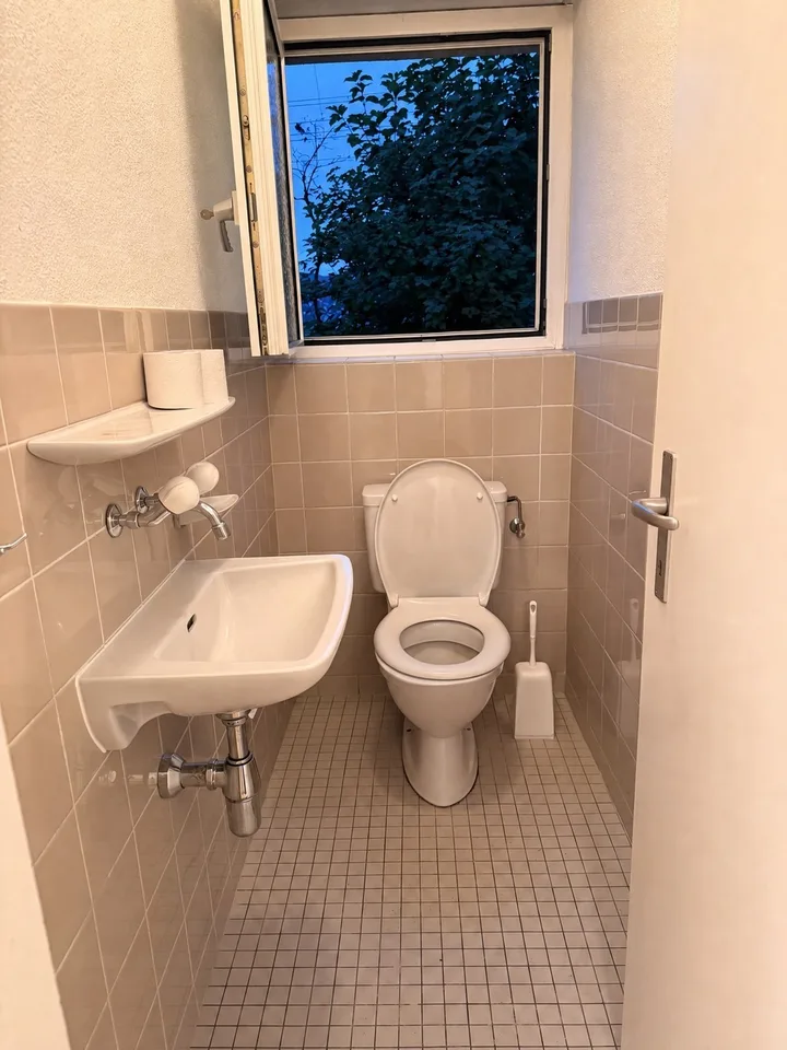 Private Room in Shared Apartment in Thalwil – foto 8 di 12