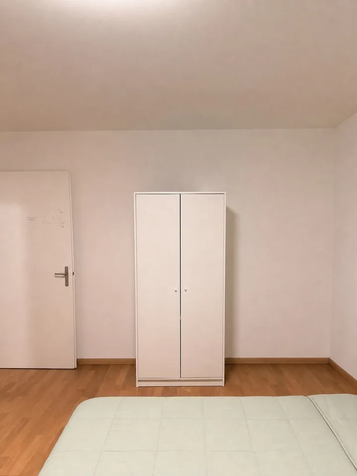 Private Room in Shared Apartment in Thalwil – foto 5 di 12
