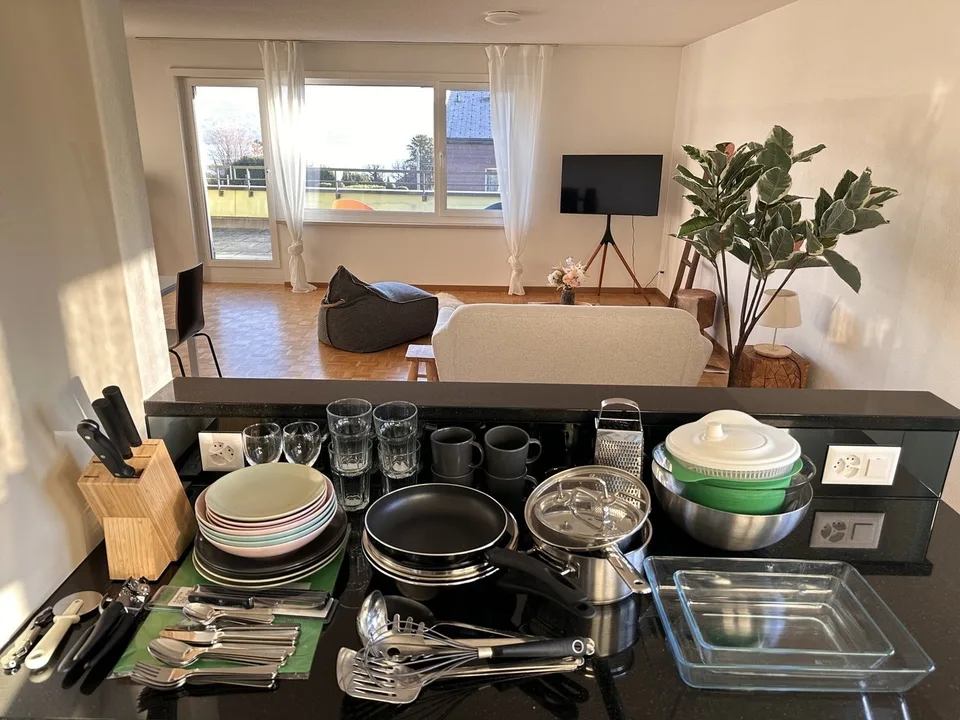 Furnished Private Apartment in Thalwil (limited till 31.03.2027) – foto 9 di 13