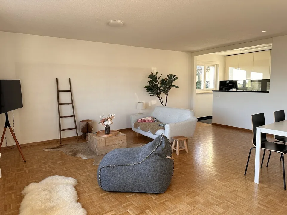 Furnished Private Apartment in Thalwil (limited till 31.03.2027) – foto 2 di 13