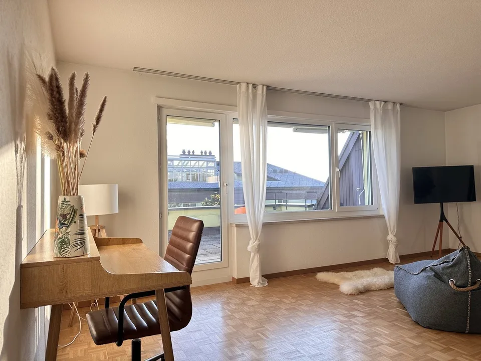 Furnished Private Apartment in Thalwil (limited till 31.03.2027) – foto 6 di 13