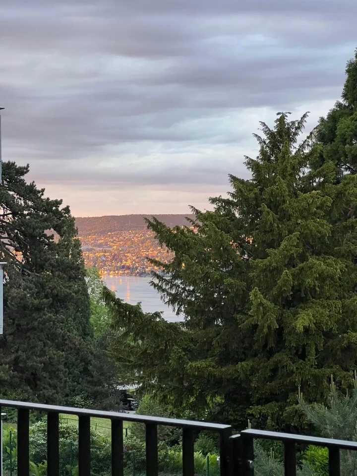 Luxury furnished 2.5-Room Apartment in Rüschlikon – Foto 8 von 14