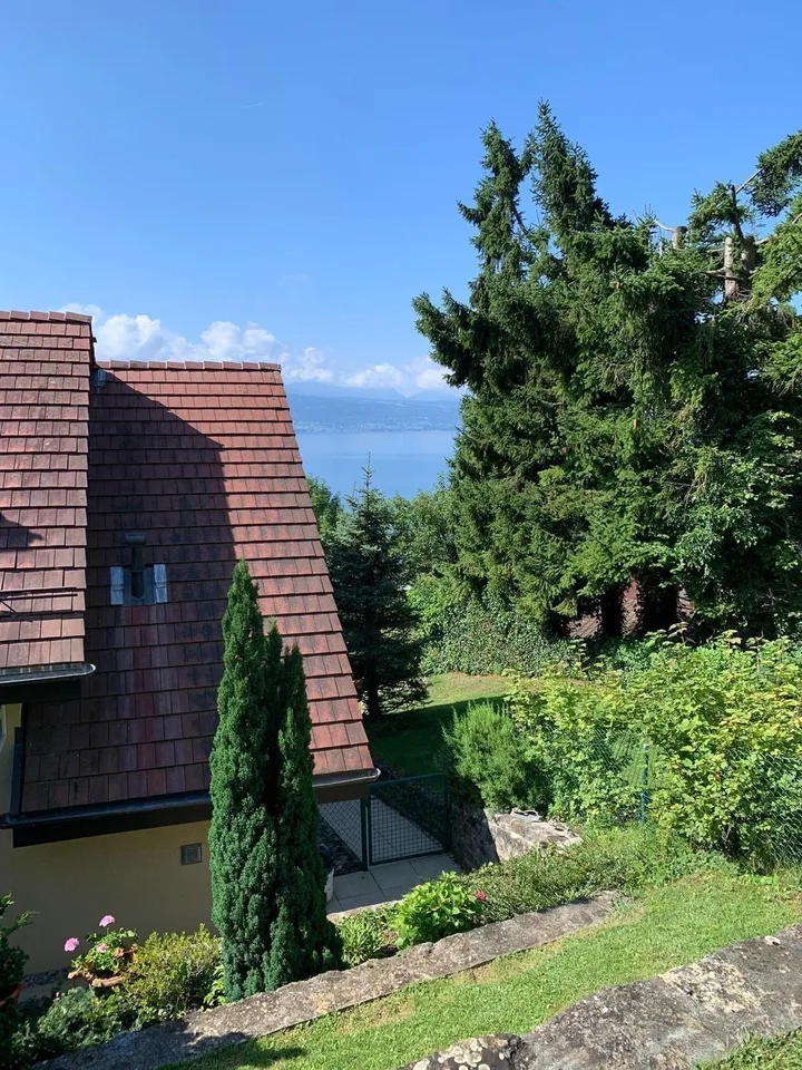House to rent with lake view – foto 10 di 11