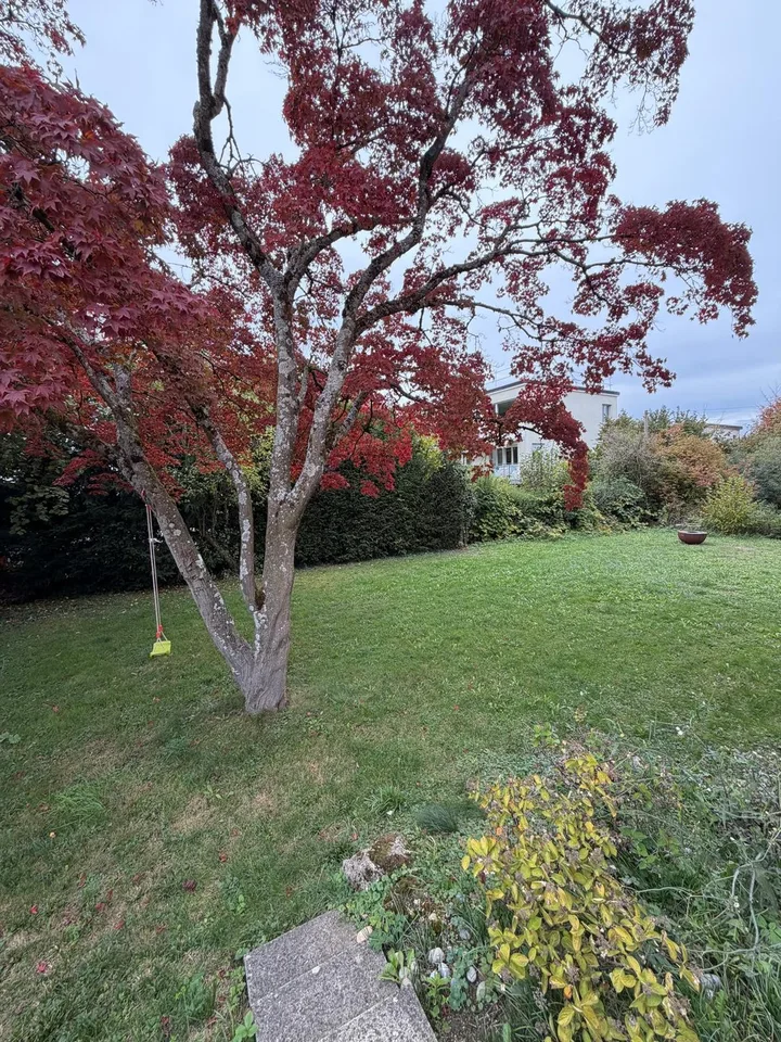 Eine Traumwohnung mit Garten! – Foto 19 von 19