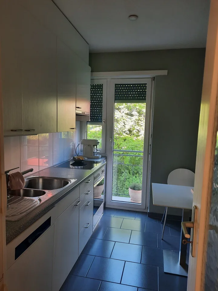 Wunderschöne 65 m² Wohnung in Kilchberg Bendlikon – Untervermietung für 2 Jahre – Foto 4 von 10