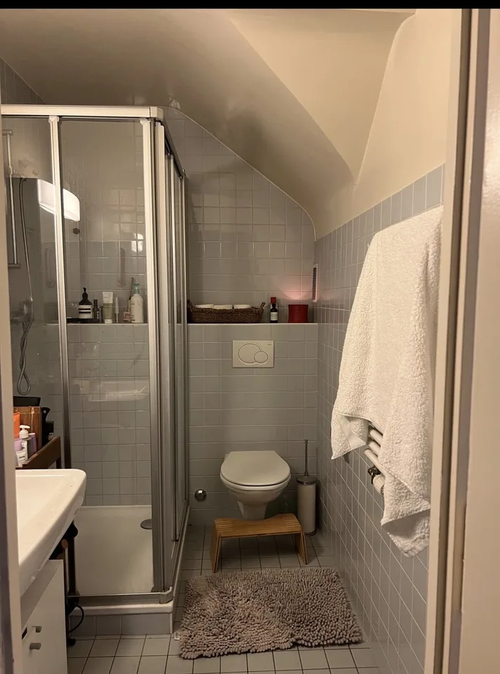 🏡 REPRISE DE BAIL – 3 PIÈCES – CAROUGE – Foto 3 von 5