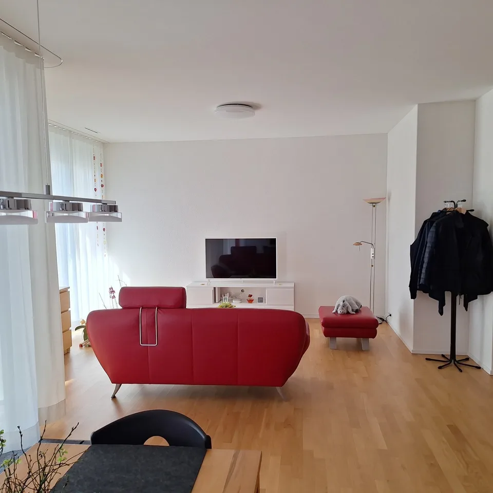 Gesucht ab Nov. 2026 neue weibliche Mitbewohnerin – Foto 17 von 30