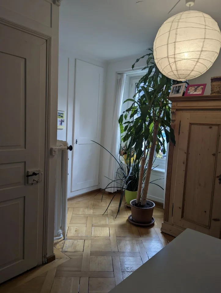 Wunderschöne Wohnung Winterthur Neuwiesen – Foto 4 von 5