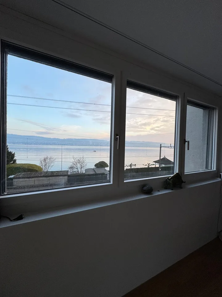 First Row am See mit Seeblick – möblierte 2.5 Zimmer Wohnung – 17 min mit ÖV zum Züri HB – Foto 6 von 20