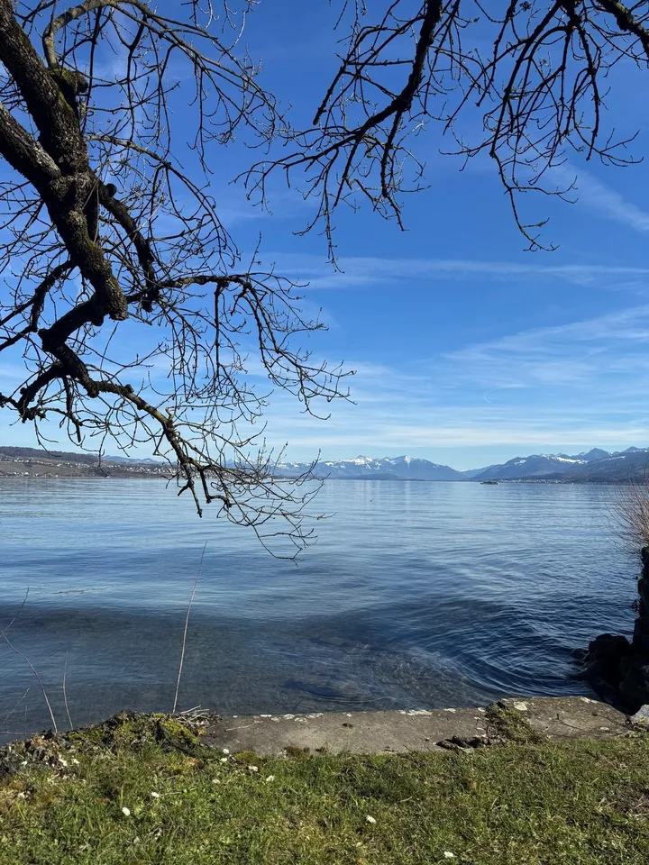 First Row am See mit Seeblick – möblierte 2.5 Zimmer Wohnung – 17 min mit ÖV zum Züri HB – Foto 20 von 20