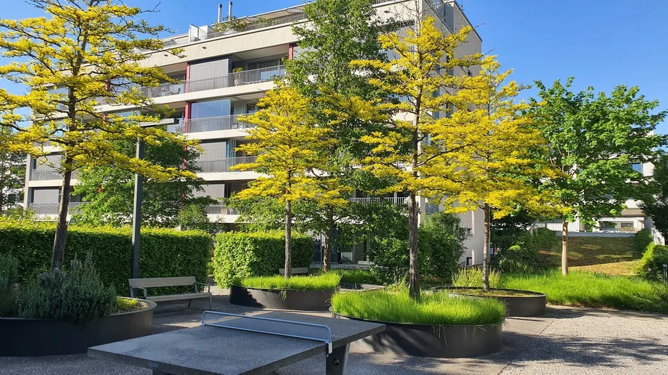 Rent a room in a shared flat in Glattpark – Foto 8 von 8
