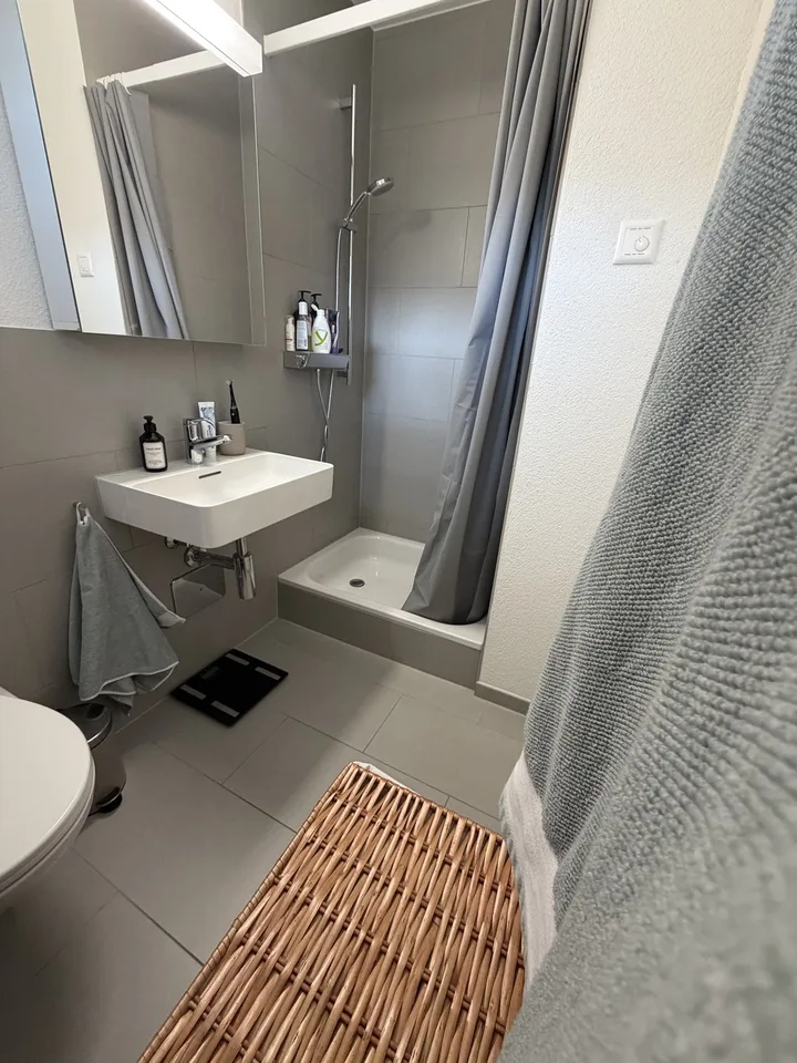 Studio Thalwil lake view – foto 9 di 10