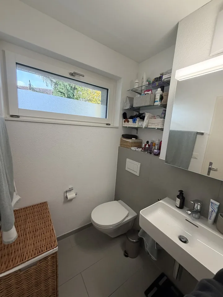 Studio Thalwil lake view – foto 8 di 10